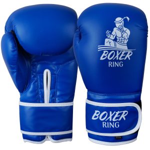 Professional Boxing Gloves